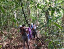 Warga Desa Bukit Padi Ditemukan Meninggal di Hutan Gunung Telapan.