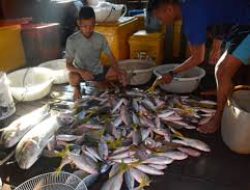 KADIN Kepulauan Anambas : Bandara Internasional dan Jalur Lintas Batas, Picu Percepatan Kemajuan KKA