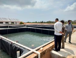 Komisi II DPRD KKA Kunjungi Lokasi Tambak Udang  PT. BSS dan Win-Whin  Shirm di Dompak