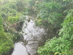 Petani Desa Bukit Padi Terancam Gagal Panen Akibat Luapan Air, Normalisasi Sungai Diminta Jadi Skala Prioritas