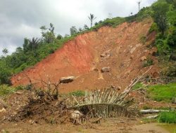 Tanah Longsor di Karo Sumut, Korban 1 Orang Tewas dan 3 Belum Ditemukan