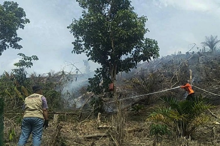 Kebakaran Lahan Perbukitan di Kampar, Lokasi Sulit Dijangkau