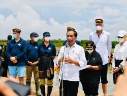Kunker Presiden Jokowi ke Kaltara: Rehabilitasi 600 Ribu Hektare Hutan Mangrove