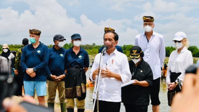 Kunker Presiden Jokowi ke Kaltara Rehabilitasi 600 Ribu Hektare Hutan Mangrove