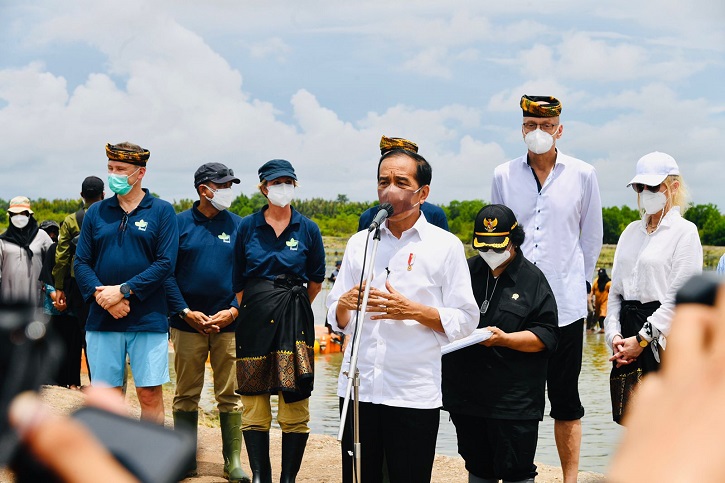 Kunker Presiden Jokowi ke Kaltara Rehabilitasi 600 Ribu Hektare Hutan Mangrove