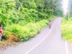 Resah Melihat Belukar, PAC-PP Siantan Turun ke Jalan