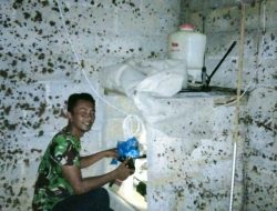 Miliki Usaha Sendiri, Janiko : Pemuda Harus Bisa