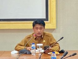 Berikut Fungsi SPBE Menurut Kadis Kominfotik Anambas