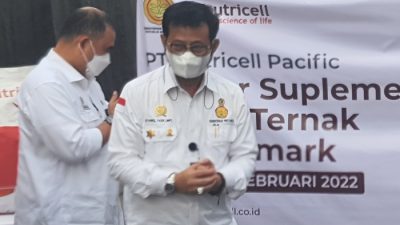 Menteri Pertanian Jamin Stok Daging Hingga Lebaran Aman