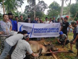 Medco E&P Natuna LTD Kembali Salurkan Hewan Kurban Bagi Masyarakat