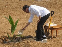 Presiden Jokowi Terima Penghargaan Swasembada Beras dari IRRI