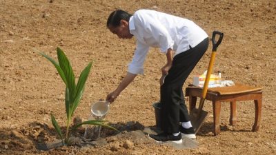 Presiden Jokowi Terima Penghargaan Swasembada Beras dari IRRI