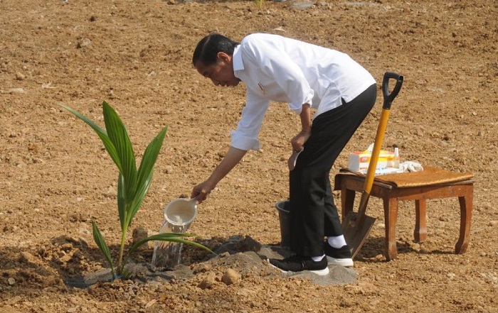 Presiden Jokowi Terima Penghargaan Swasembada Beras dari IRRI