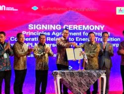 Investasi Jumbo, PLTA Kayan Cascade Bakal Jadi Warisan Jokowi untuk Energi Bersih