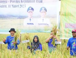 Lingga Ikut Dalam Kegiatan Partisipasi Panen Padi Nusantara 1 juta Hektar
