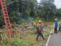Langkah Cepat Team Teknik PLN Tarempa Tangani Gangguan