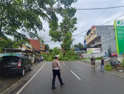 Akibat Hujan Angin , Pohon Di Engku Putri Tanjungpinang Tumbang dan Menimpa Seorang Wanita