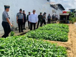 Rutan Kelas I Tanjungpinang Panen Kangkung 150 Kg, Bagikan Hasilnya ke Masyarakat Sekitar
