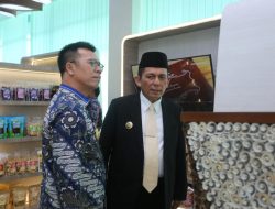 Bupati Aneng Temui Gubernur Kepri, Bahas Kurang Bayar DBH untuk Anambas